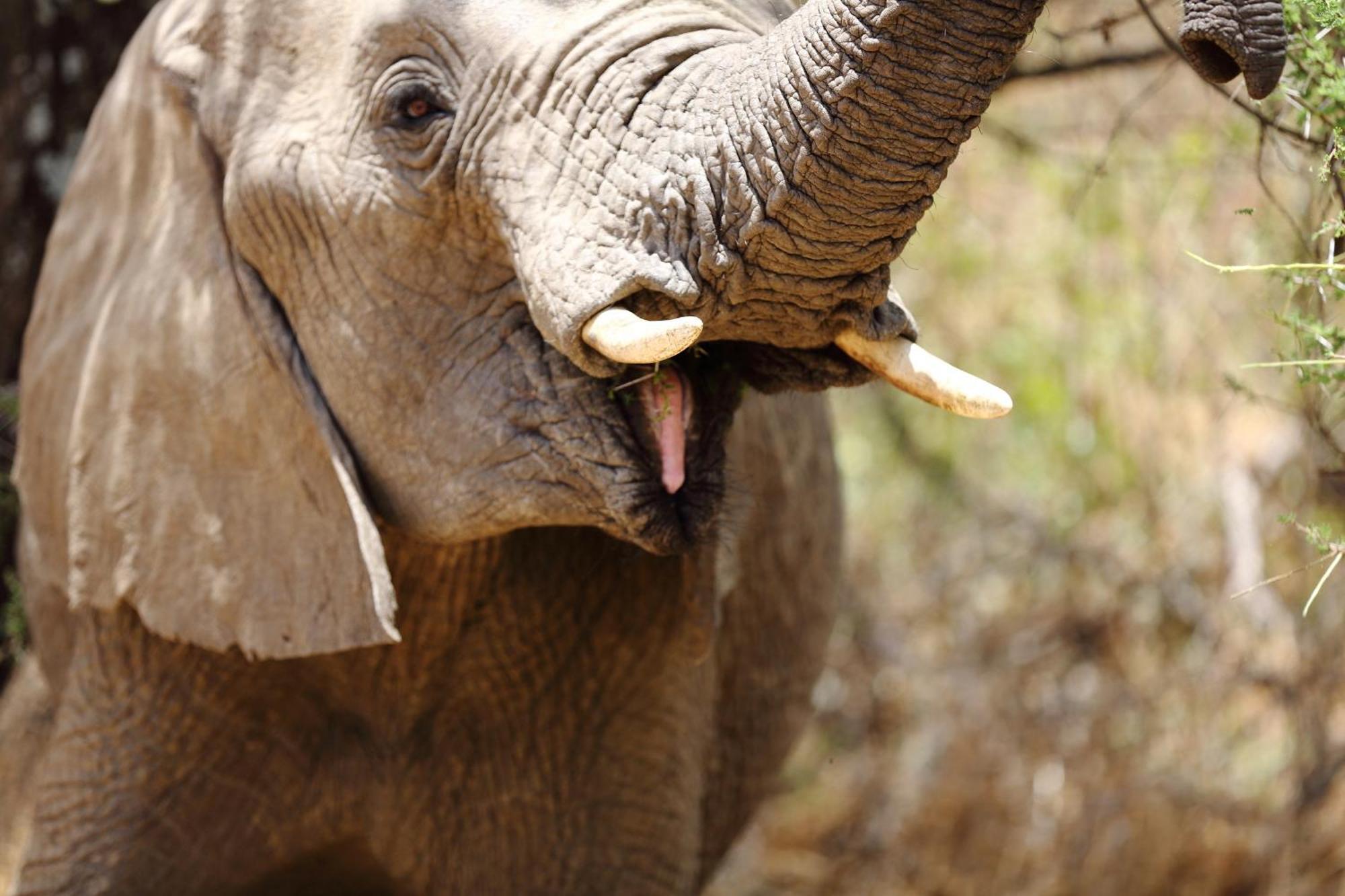 Vila Baker Safari Company Kwangwazi Exteriér fotografie